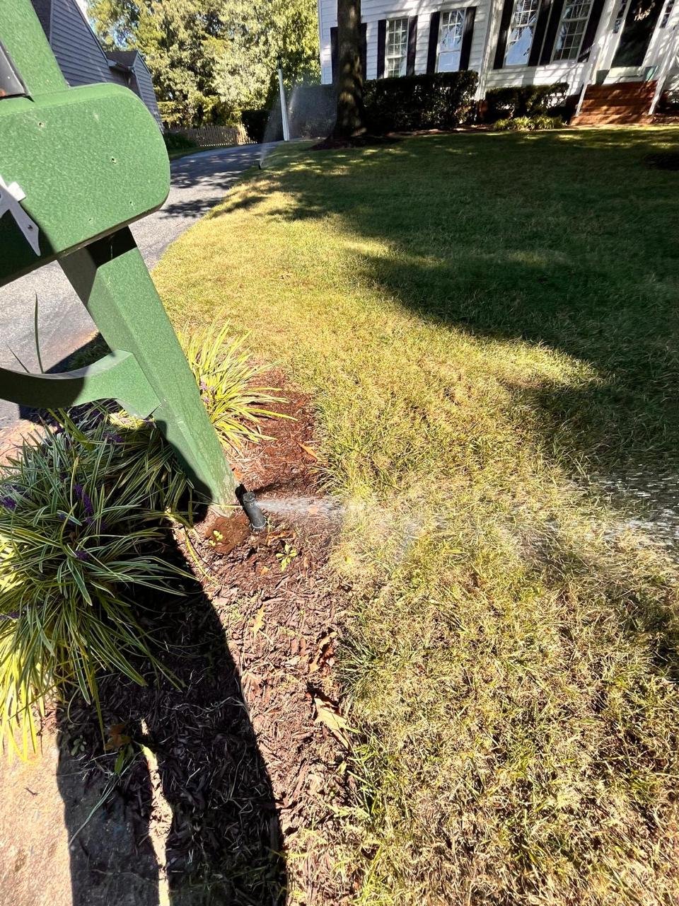 Alex's Lawn Care Work 10