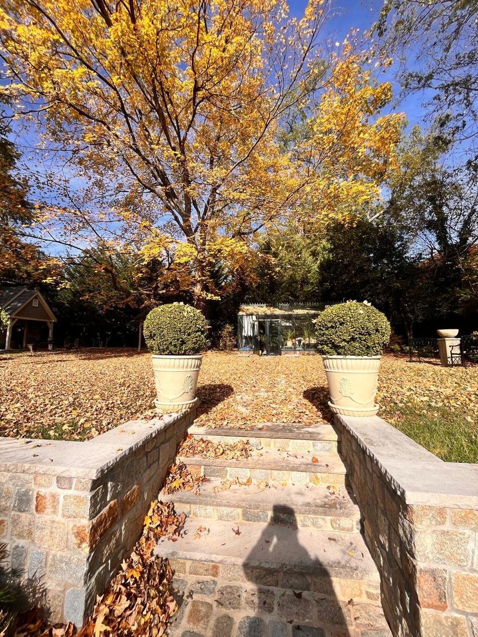 Alex's Lawn Care Work 11