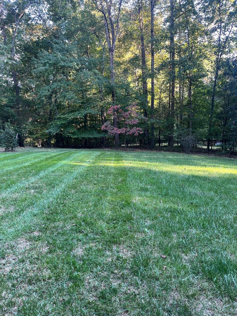 Alex's Lawn Care Work 18