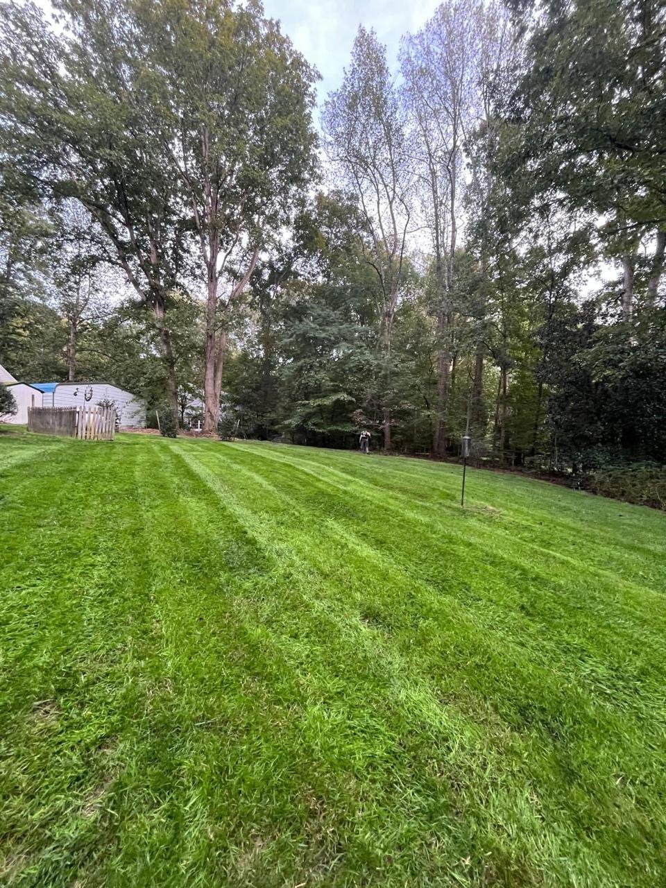 Alex's Lawn Care Work 20