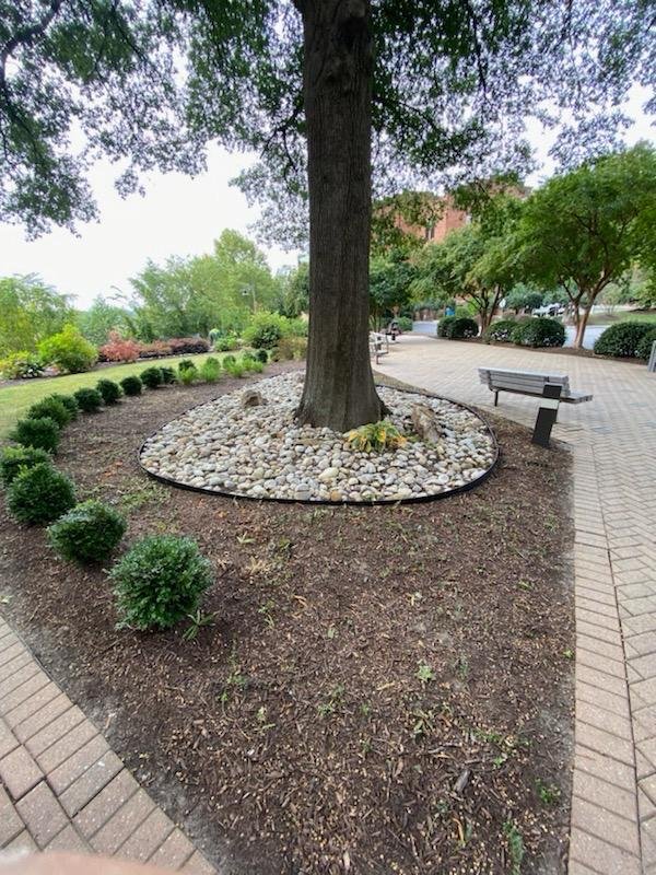 Alex's Lawn Care Work 6