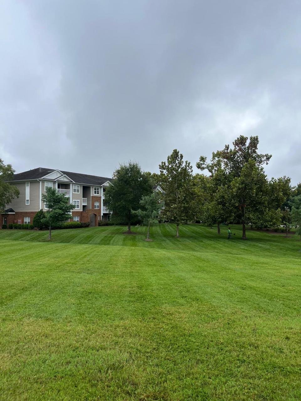 Alex's Lawn Care Work 9